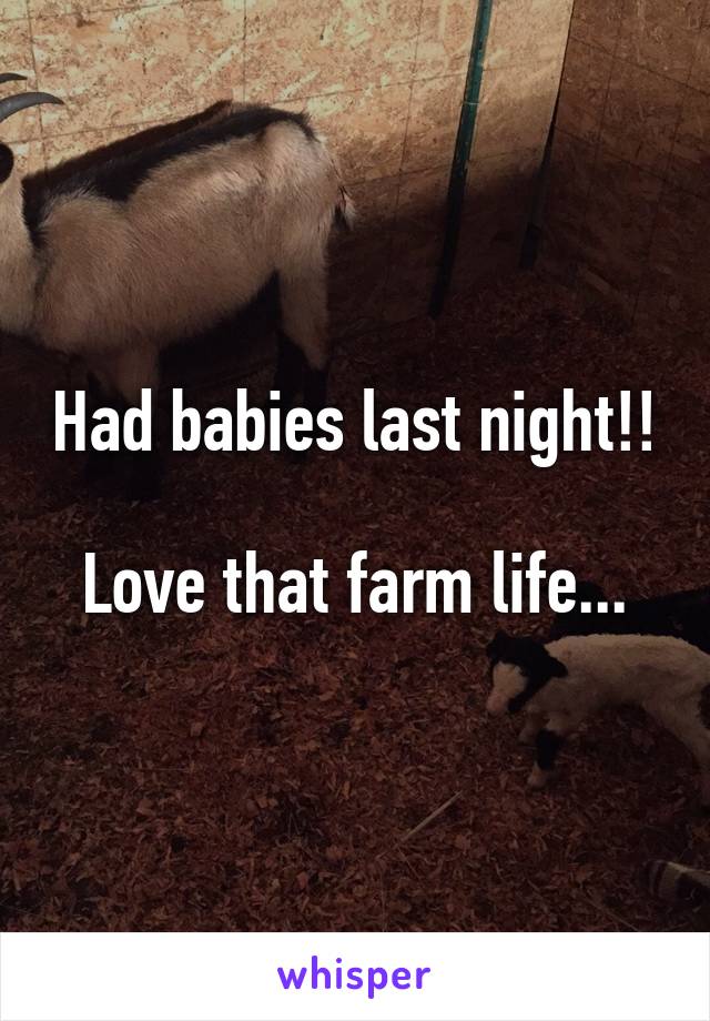 Had babies last night!!

Love that farm life...