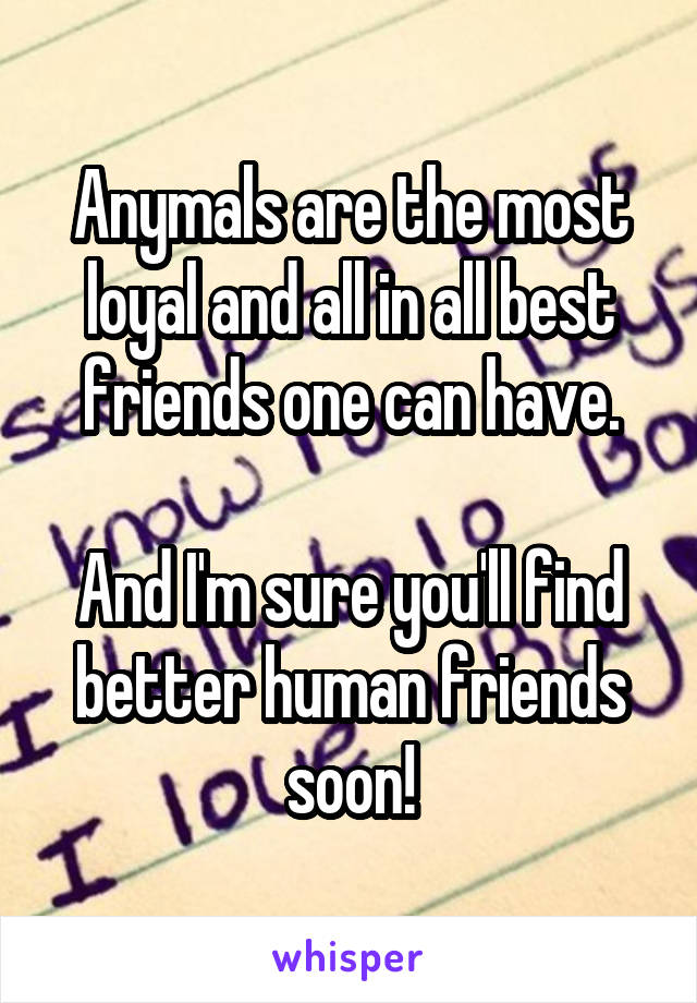 Anymals are the most loyal and all in all best friends one can have.

And I'm sure you'll find better human friends soon!