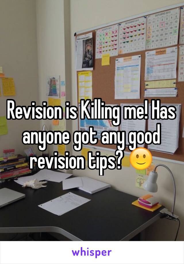 Revision is Killing me! Has anyone got any good revision tips? 🙂