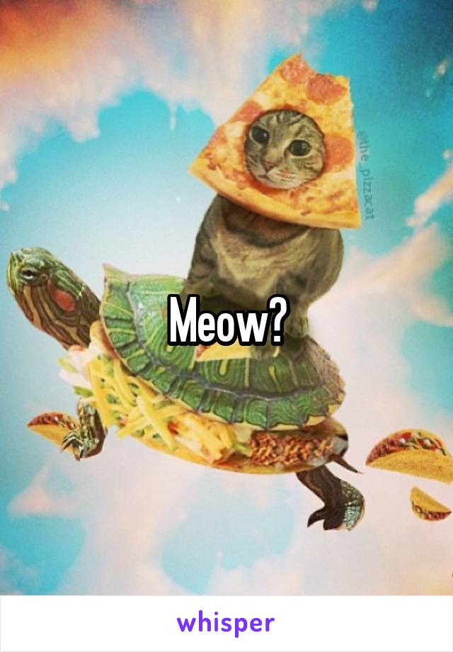 Meow?