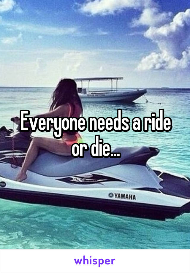 Everyone needs a ride or die...