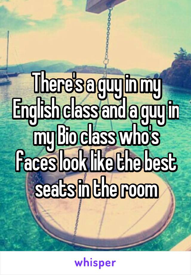 There's a guy in my English class and a guy in my Bio class who's faces look like the best seats in the room