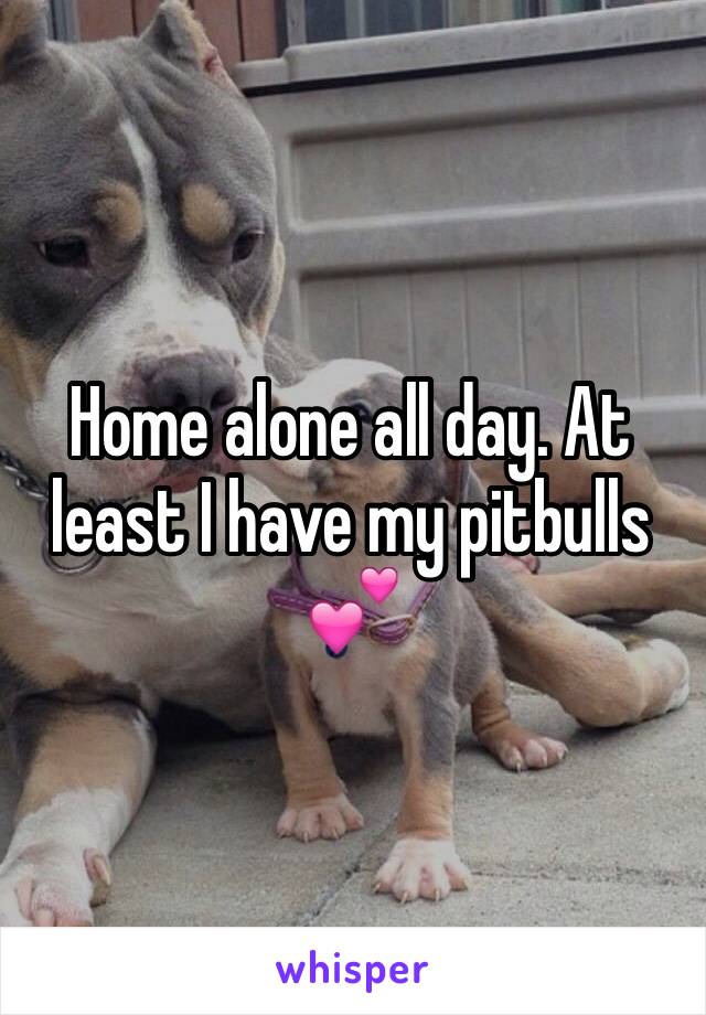 Home alone all day. At least I have my pitbulls 💕