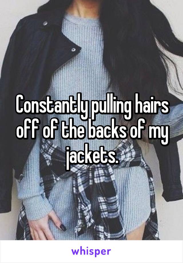 Constantly pulling hairs off of the backs of my jackets.