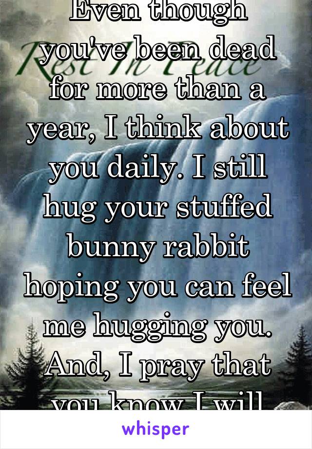 Even though you've been dead for more than a year, I think about you daily. I still hug your stuffed bunny rabbit hoping you can feel me hugging you. And, I pray that you know I will love you forever.