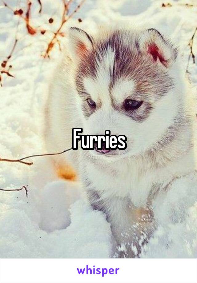 Furries