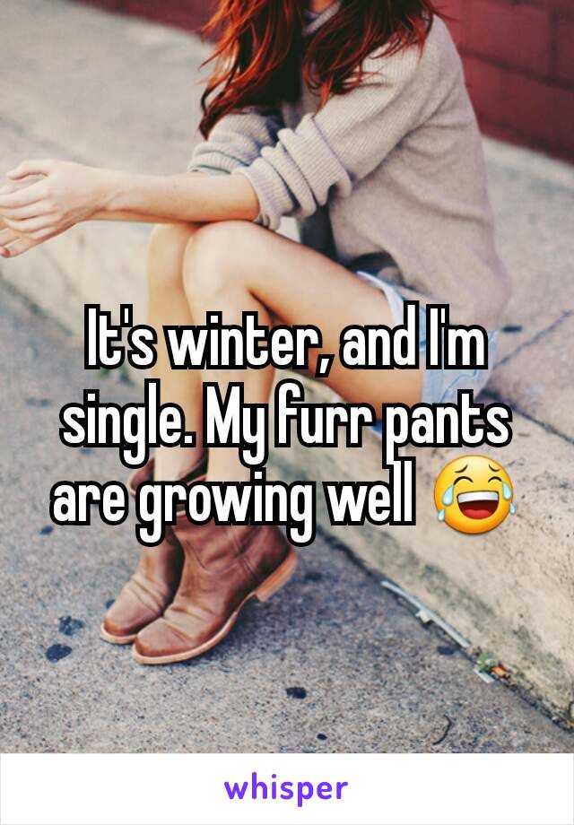 It's winter, and I'm single. My furr pants are growing well 😂