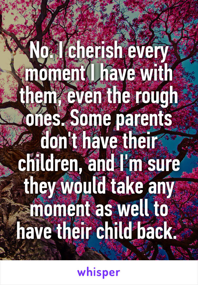 No. I cherish every moment I have with them, even the rough ones. Some parents don't have their children, and I'm sure they would take any moment as well to have their child back. 