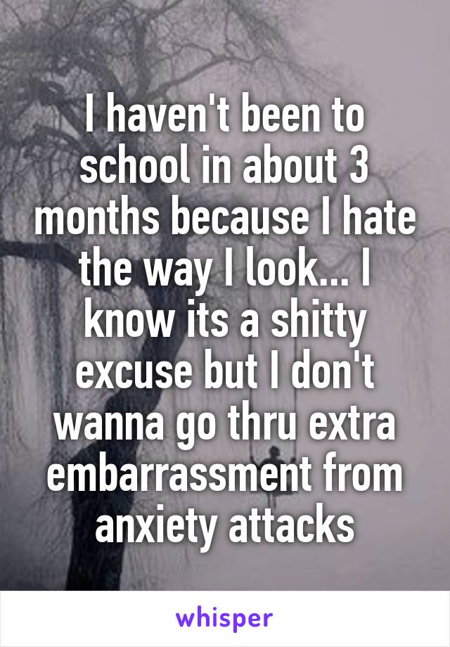 I haven't been to school in about 3 months because I hate the way I look... I know its a shitty excuse but I don't wanna go thru extra embarrassment from anxiety attacks