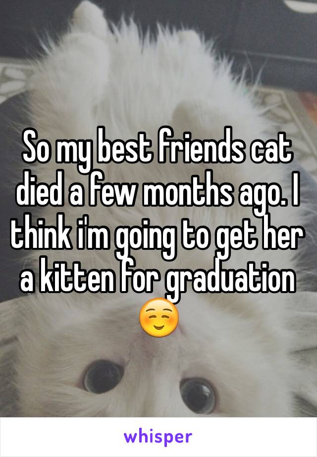 So my best friends cat died a few months ago. I think i'm going to get her a kitten for graduation ☺️