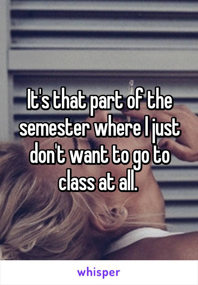 It's that part of the semester where I just don't want to go to class at all. 