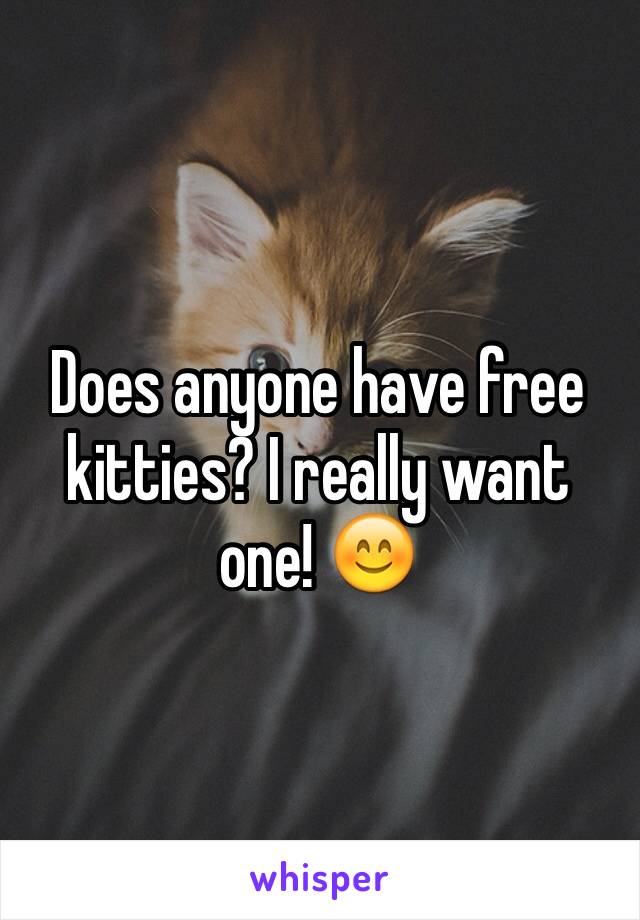 Does anyone have free kitties? I really want one! 😊