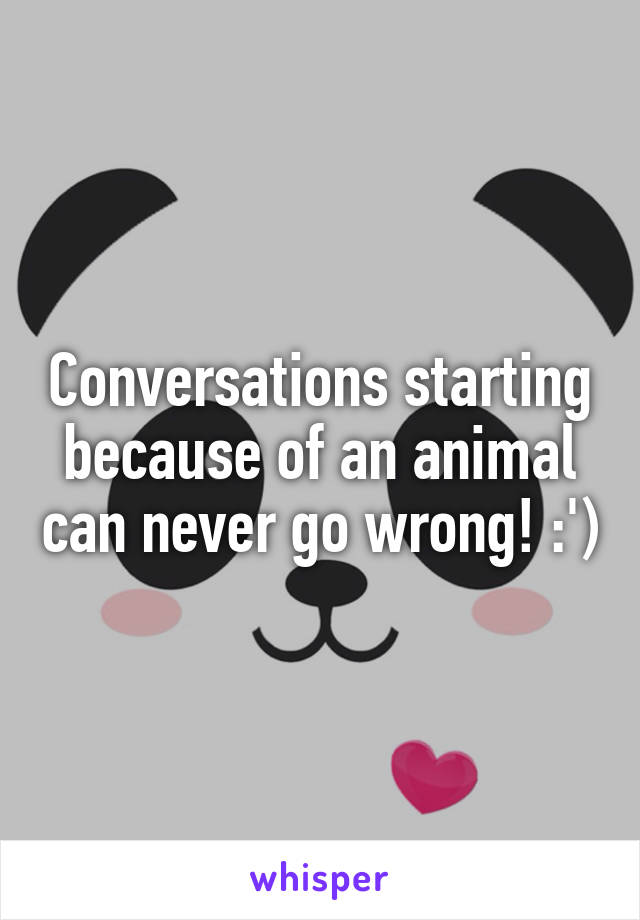 Conversations starting because of an animal can never go wrong! :')