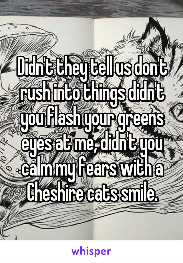 Didn't they tell us don't rush into things didn't you flash your greens eyes at me, didn't you calm my fears with a Cheshire cats smile.