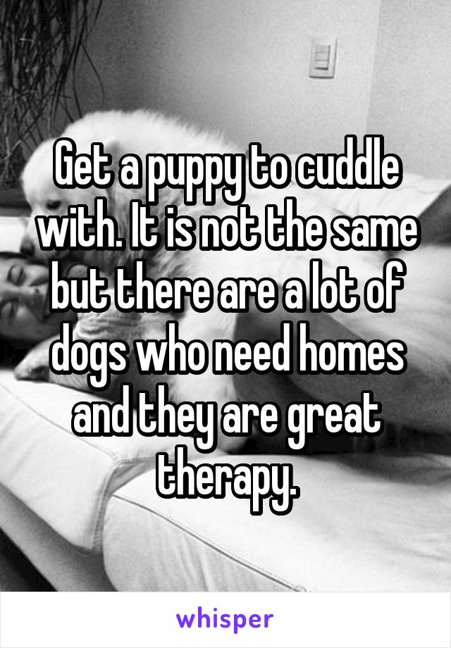 Get a puppy to cuddle with. It is not the same but there are a lot of dogs who need homes and they are great therapy.