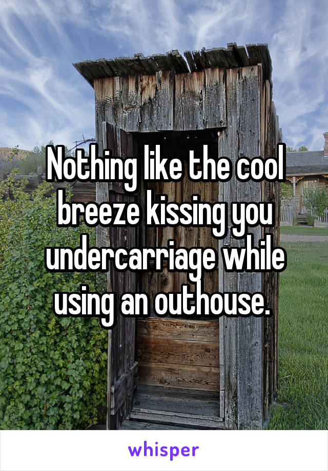 Nothing like the cool breeze kissing you undercarriage while using an outhouse. 