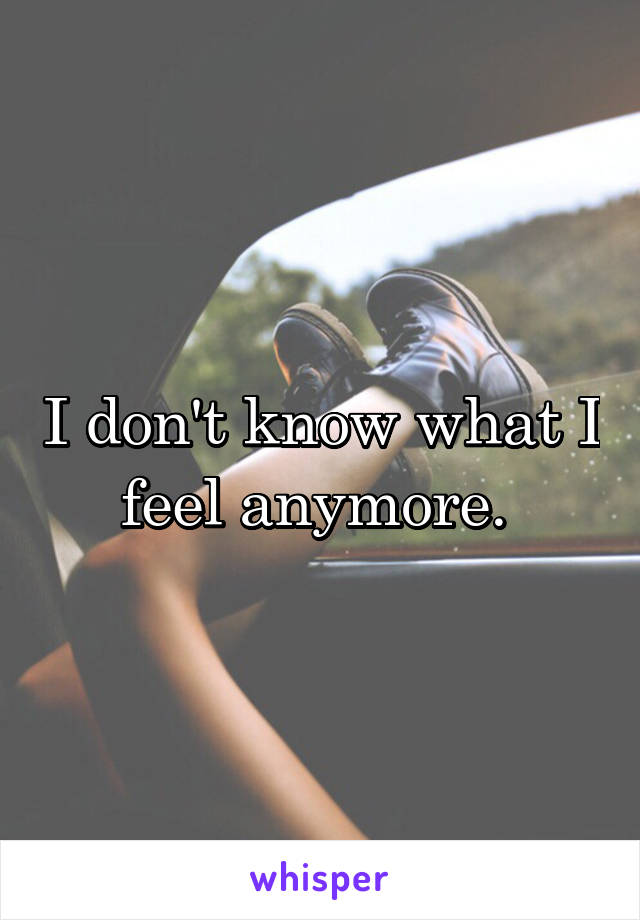 I don't know what I feel anymore. 