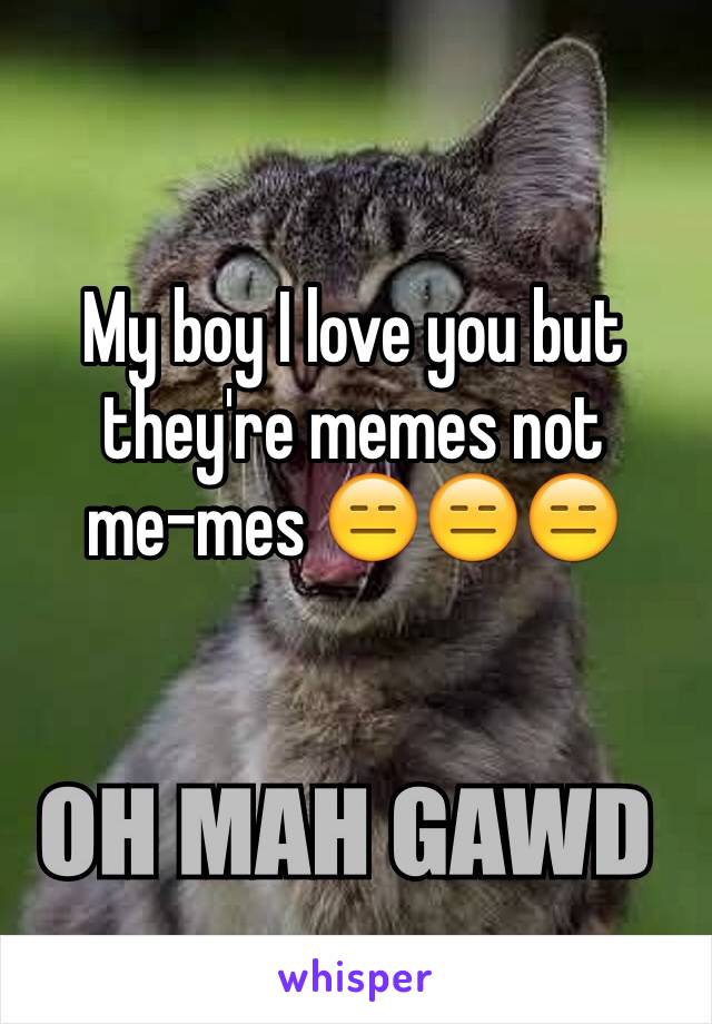 My boy I love you but they're memes not 
me-mes 😑😑😑

