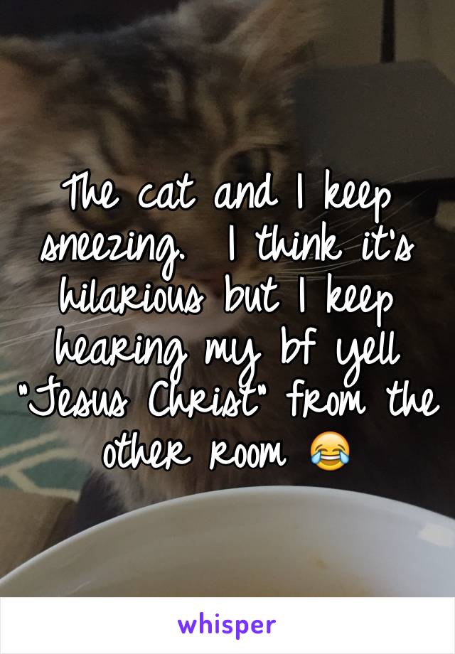 The cat and I keep sneezing.  I think it's hilarious but I keep hearing my bf yell "Jesus Christ" from the other room 😂