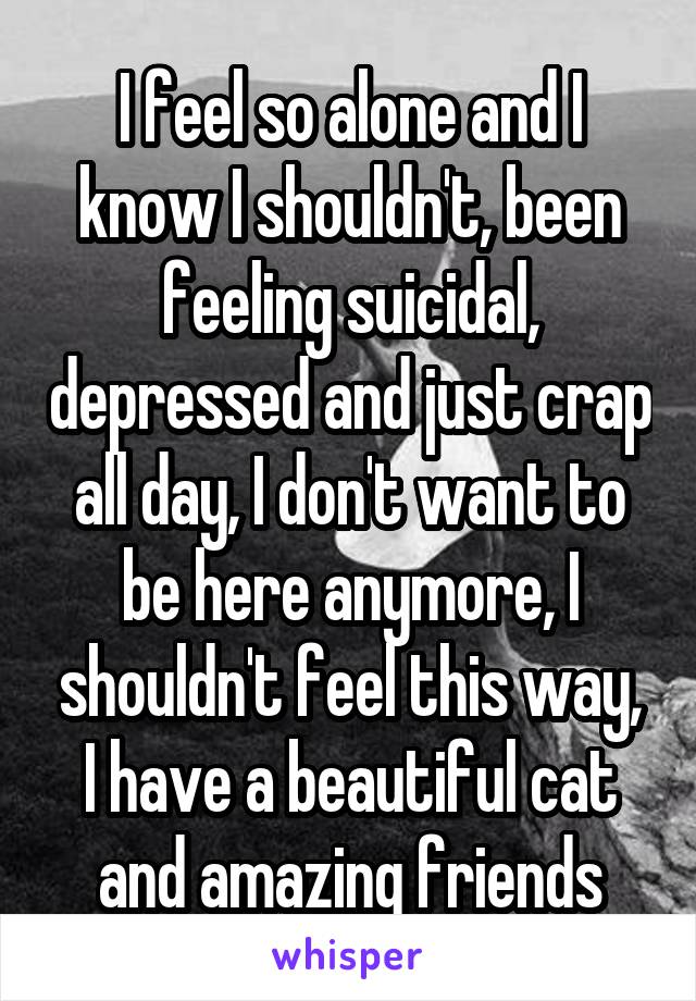 I feel so alone and I know I shouldn't, been feeling suicidal, depressed and just crap all day, I don't want to be here anymore, I shouldn't feel this way, I have a beautiful cat and amazing friends