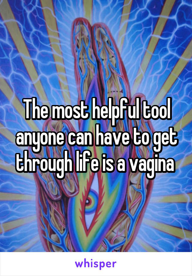 The most helpful tool anyone can have to get through life is a vagina 