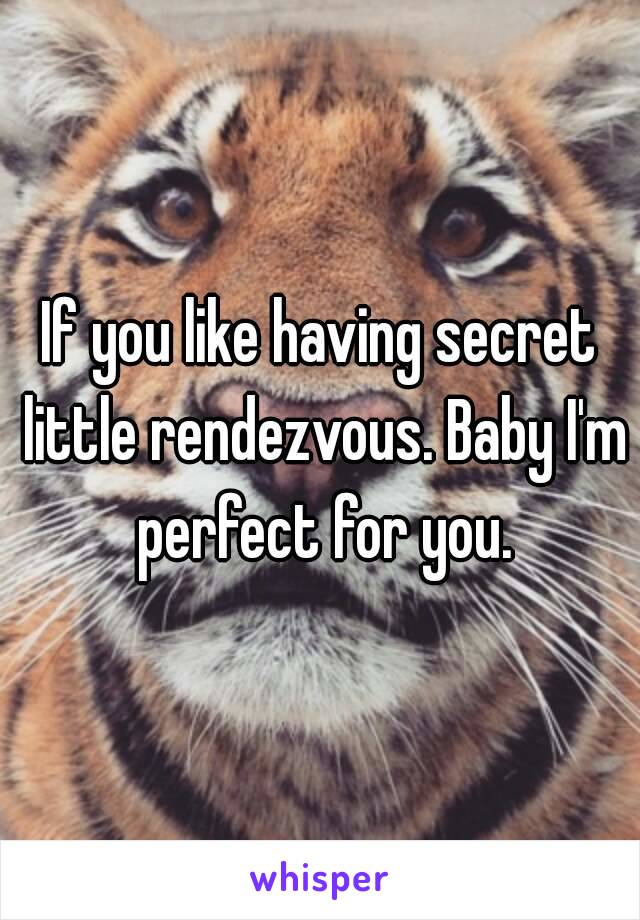 If you like having secret little rendezvous. Baby I'm perfect for you.