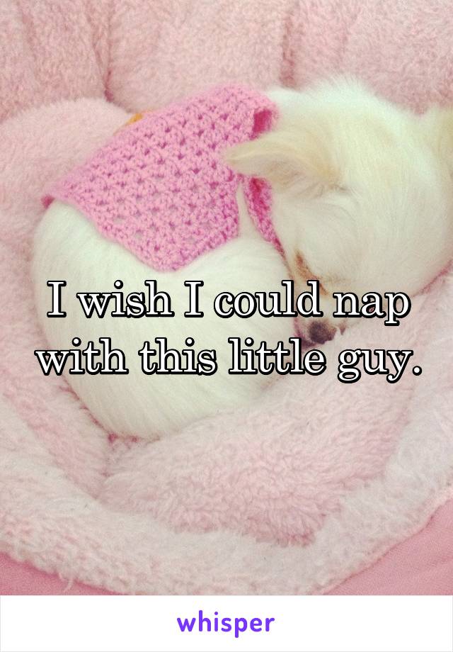 I wish I could nap with this little guy.