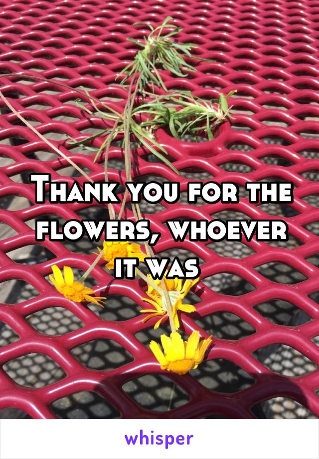 Thank you for the flowers, whoever it was 