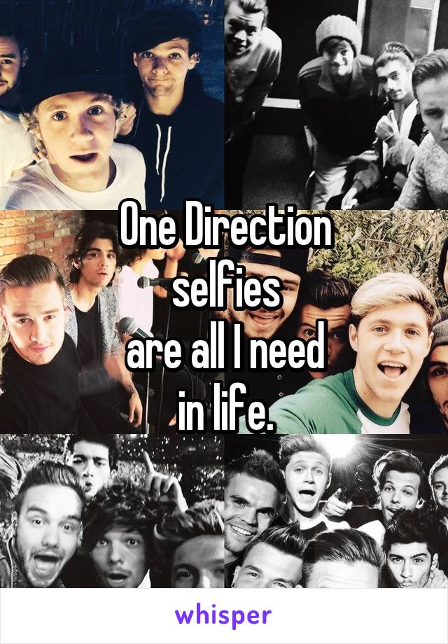 One Direction
selfies
are all I need
in life.