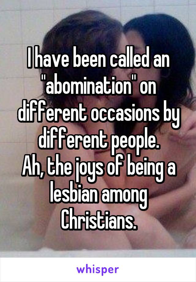 I have been called an "abomination" on different occasions by different people.
Ah, the joys of being a lesbian among Christians.