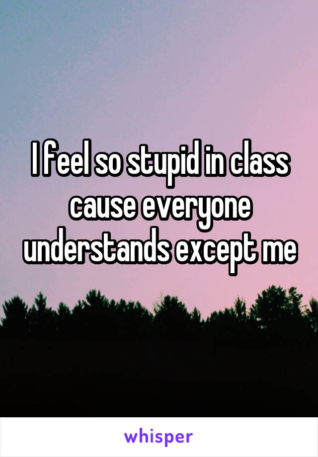 I feel so stupid in class cause everyone understands except me
