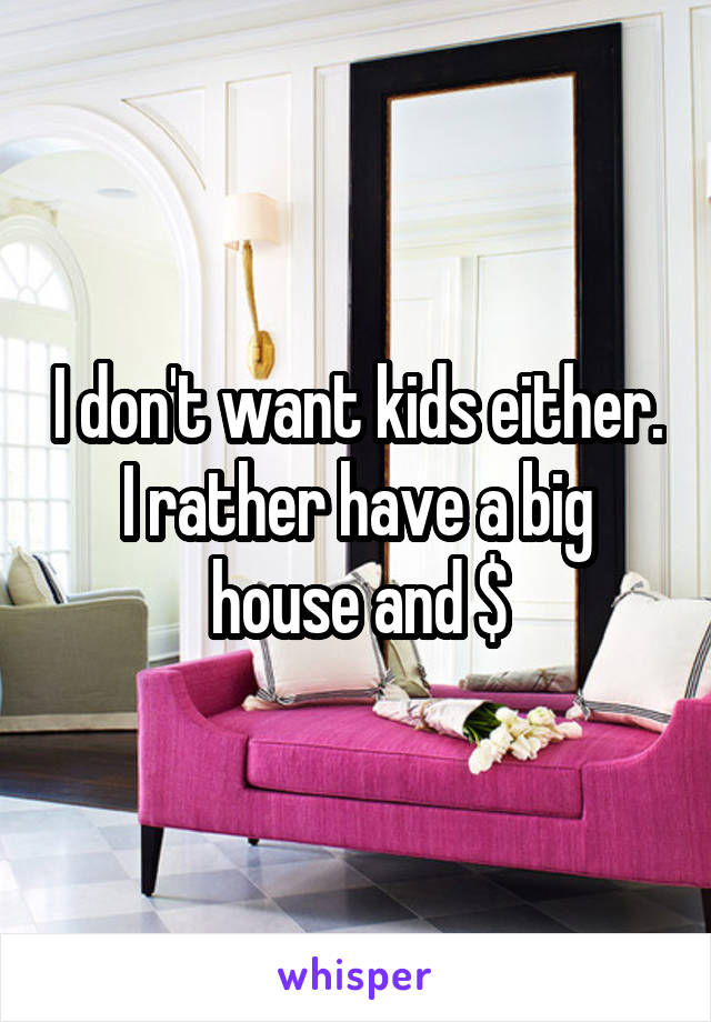 I don't want kids either. I rather have a big house and $