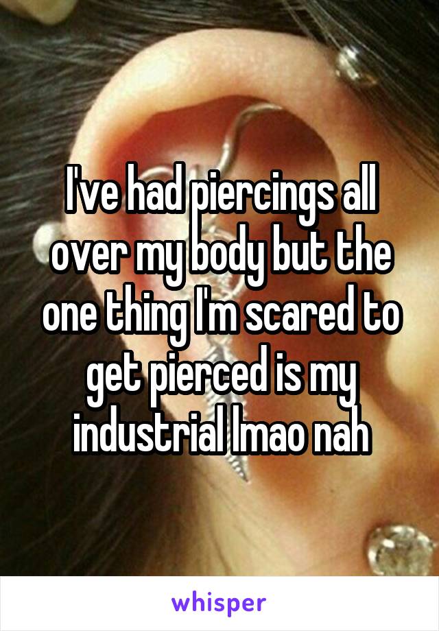 I've had piercings all over my body but the one thing I'm scared to get pierced is my industrial lmao nah