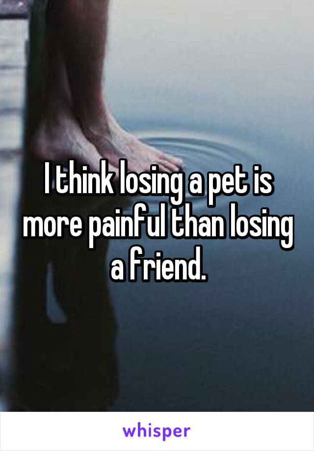 I think losing a pet is more painful than losing a friend.