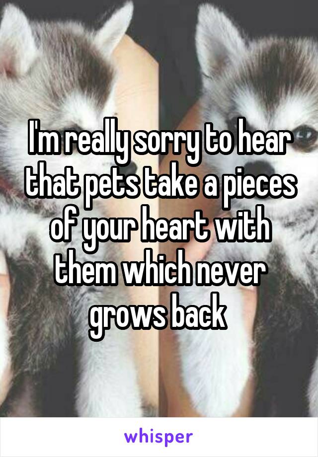 I'm really sorry to hear that pets take a pieces of your heart with them which never grows back 