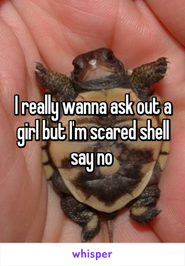 I really wanna ask out a girl but I'm scared shell say no 