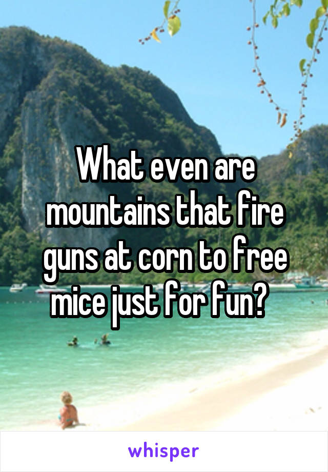 What even are mountains that fire guns at corn to free mice just for fun?  