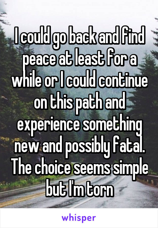 I could go back and find peace at least for a while or I could continue on this path and experience something new and possibly fatal. The choice seems simple but I'm torn