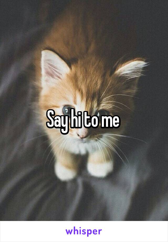 Say hi to me 