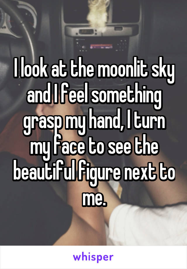 I look at the moonlit sky and I feel something grasp my hand, I turn my face to see the beautiful figure next to me.