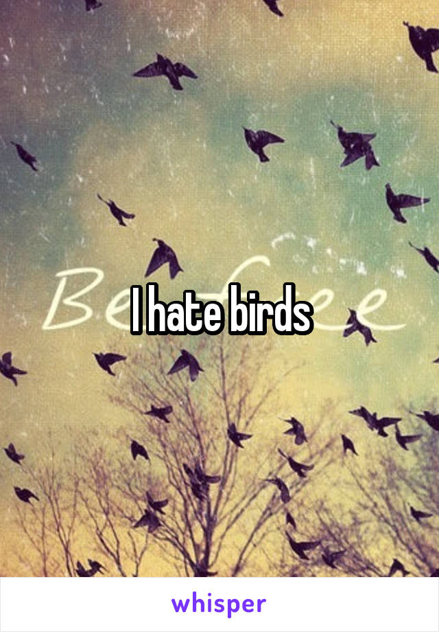 I hate birds