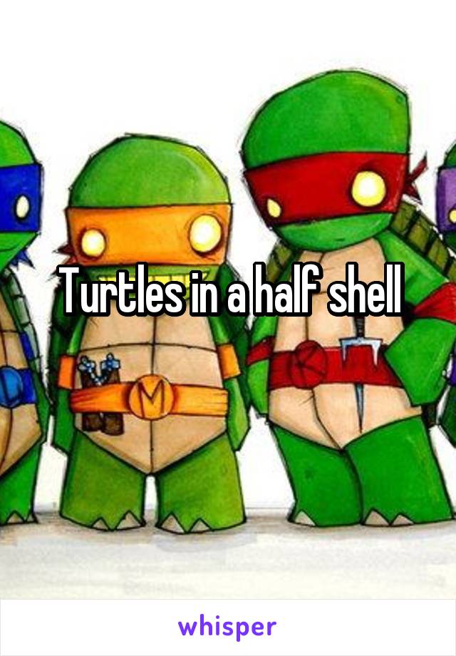 Turtles in a half shell
