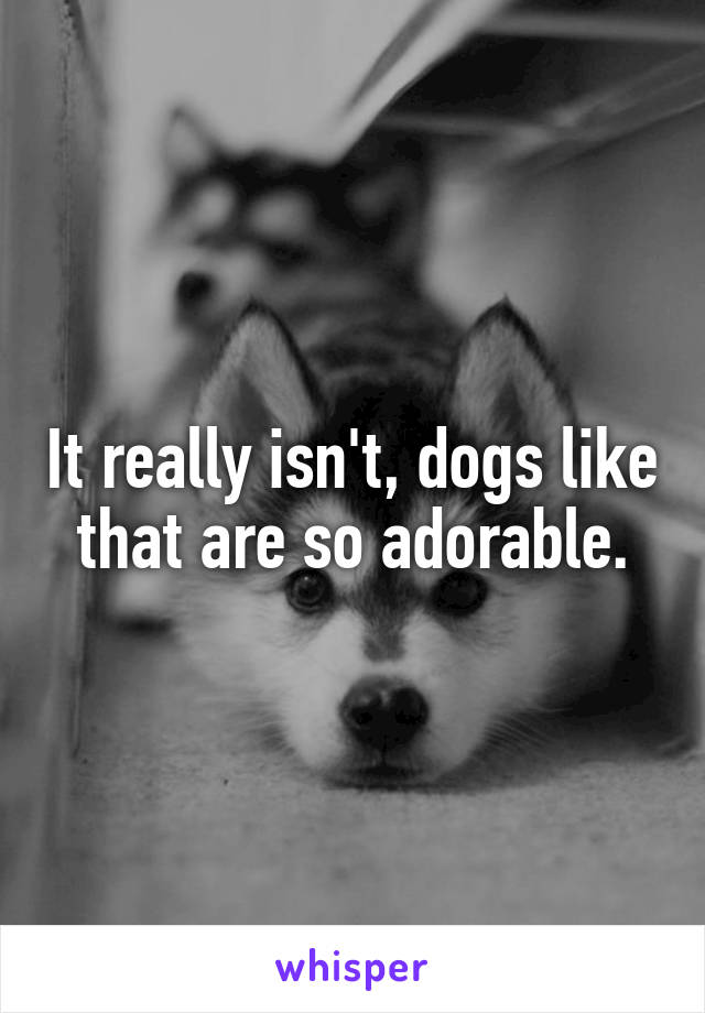 It really isn't, dogs like that are so adorable.