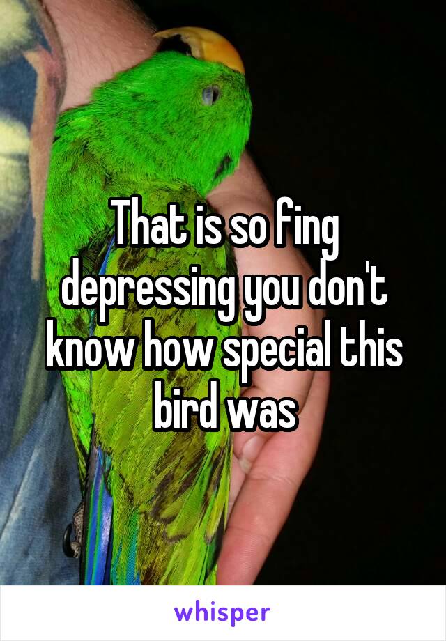 That is so fing depressing you don't know how special this bird was