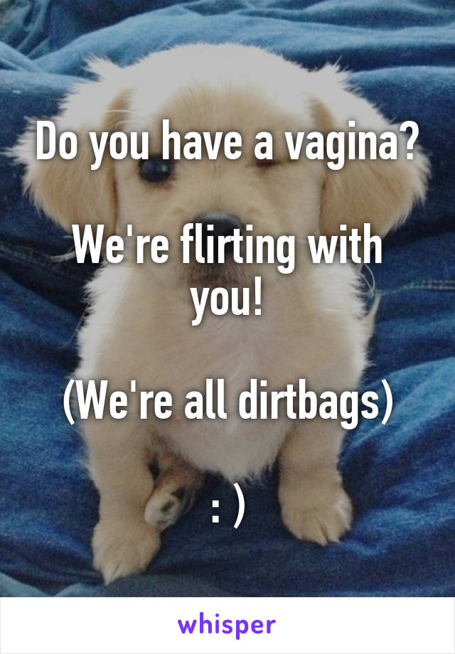 Do you have a vagina?

We're flirting with you!

(We're all dirtbags)

: )