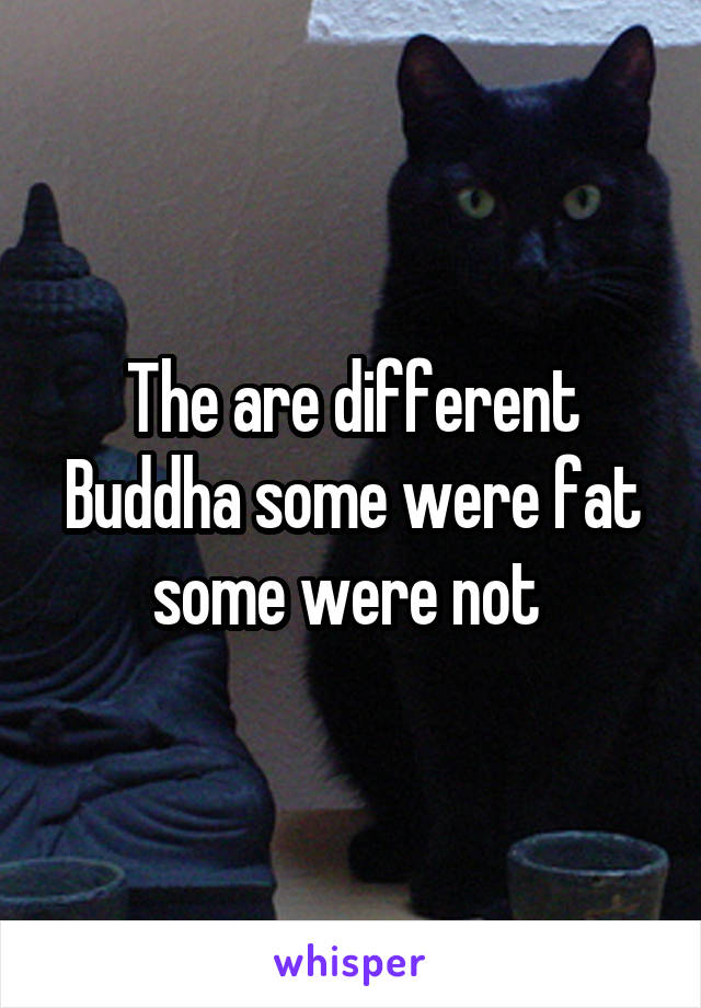 The are different Buddha some were fat some were not 