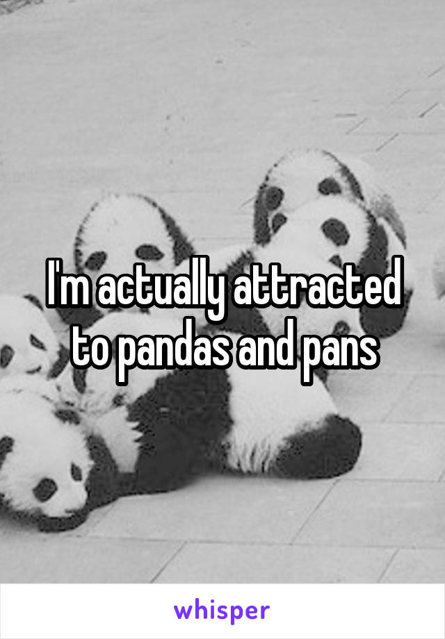 I'm actually attracted to pandas and pans