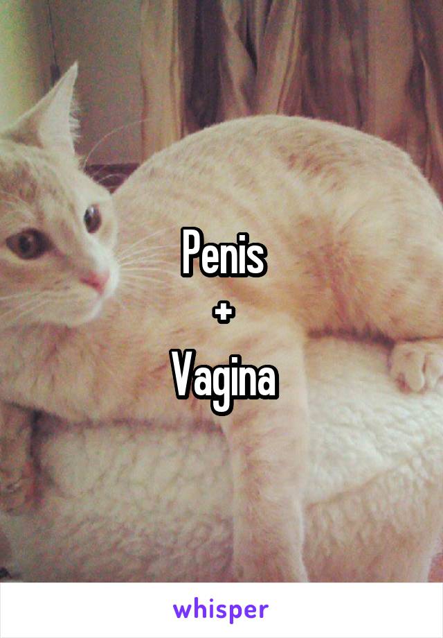 Penis
+
Vagina