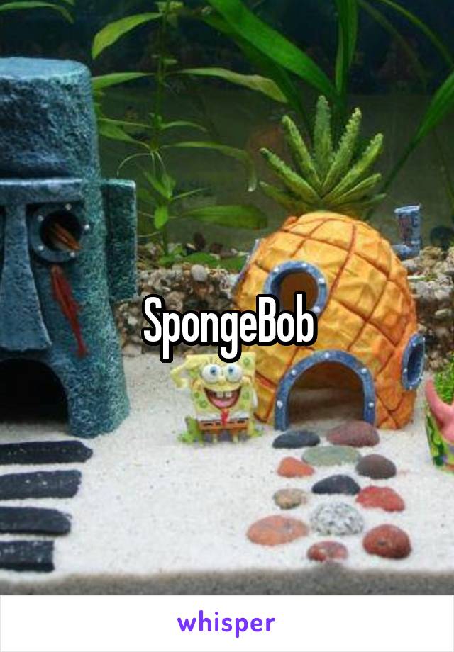 SpongeBob