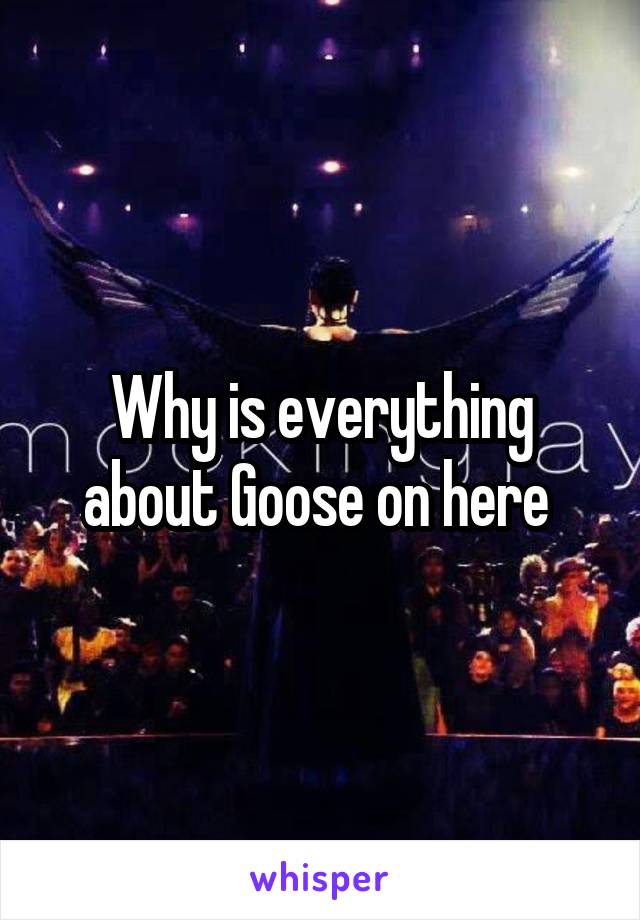 Why is everything about Goose on here 